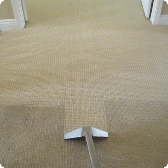 Carpet steam cleaning in a Sydney home