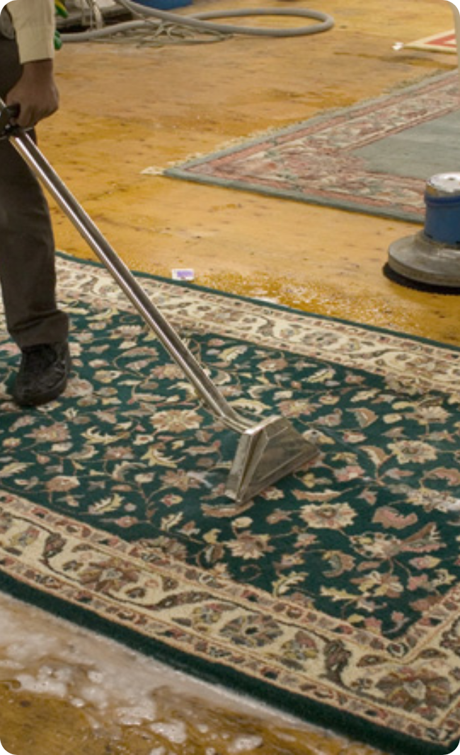 Rug cleaning in Brisbane