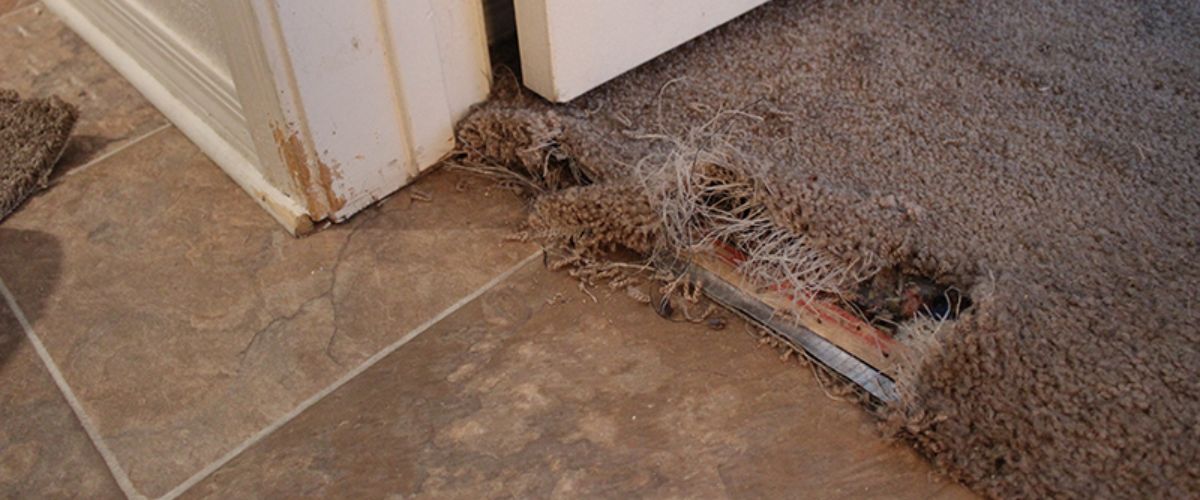 Flood Damage Restoration